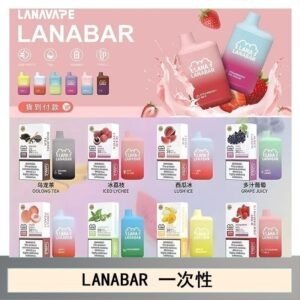 LANA BAR可充电一次性電子煙霧化5000口(3.0%)