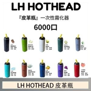 LH HOTHEAD皮革瓶電子煙可充電6000口一次性