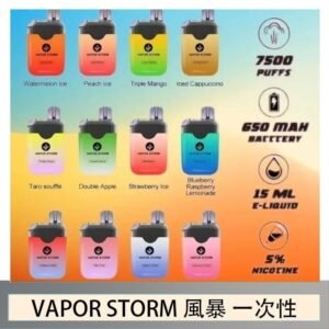 Vapor Storm風暴電子煙7500口（5%）一次性